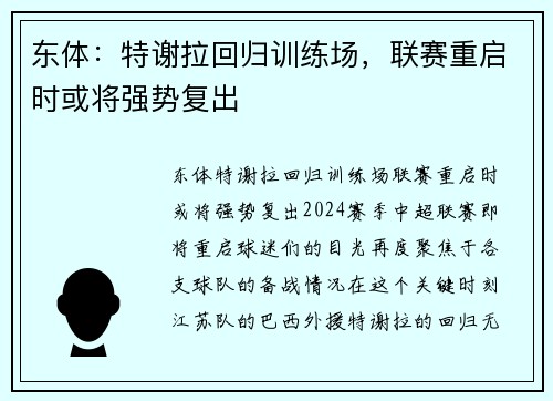 东体：特谢拉回归训练场，联赛重启时或将强势复出