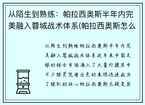 从陌生到熟练：帕拉西奥斯半年内完美融入蓉城战术体系(帕拉西奥斯怎么样)
