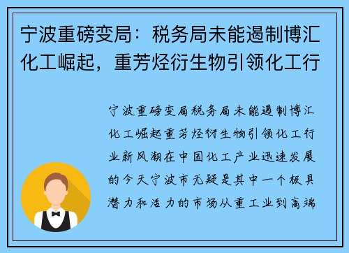 宁波重磅变局：税务局未能遏制博汇化工崛起，重芳烃衍生物引领化工行业新风潮